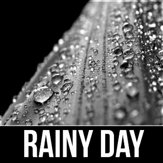 Rainy Day - In Harmony with Nature Sounds, Pacific Ocean Waves for Well Being and Healthy Lifestyle, Yin Yoga, Massage Therapy, Home Spa by Nature Sounds Universe