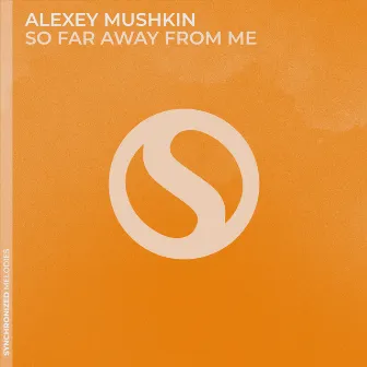 So Far Away From Me by Alexey Mushkin