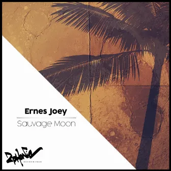 Sauvage Moon by Ernes Joey