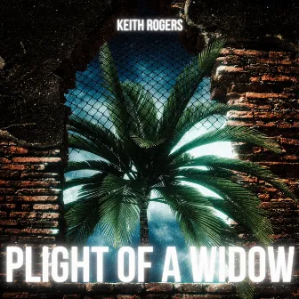 Plight of a Widow by Keith Rogers