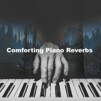 Comforting Piano Reverbs by PETS LOVE MUSIC