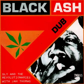 Black Ash Dub (with Jah Thomas) by Sly & The Revolutionaries