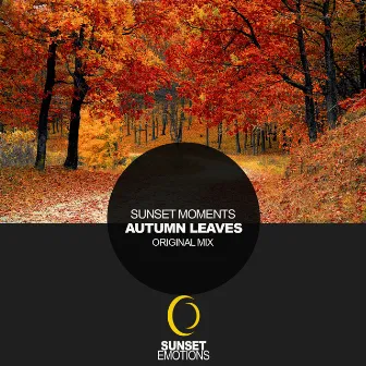 Autumn Leaves by Sunset Moments