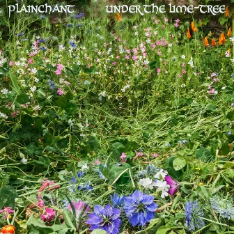 Under the Lime-Tree by Plainchant