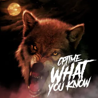 What You Know by Cptime