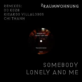 Somebody Lonely and Me (Remixes) by 2raumwohnung