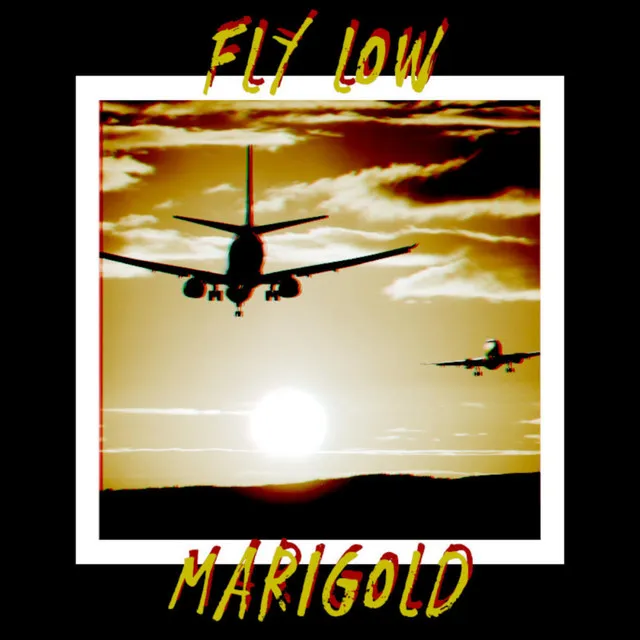 Fly Low Marigold