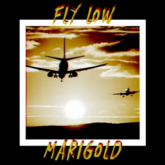 Fly Low Marigold by Simply Josiah