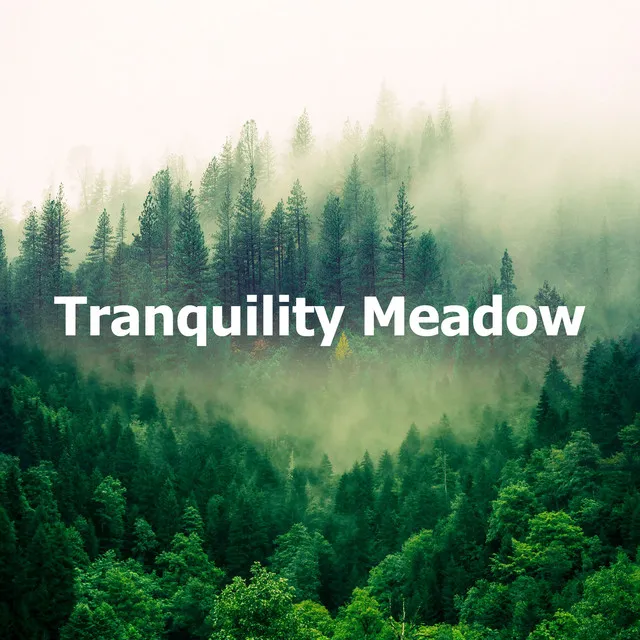 Tranquility Meadow