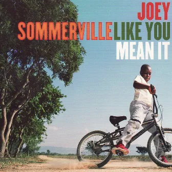 Like You Mean It by Joey Sommerville