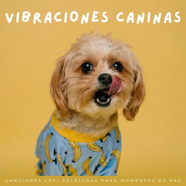 Vibraciones Caninas: Canciones Lofi Relajadas Para Momentos De Paz