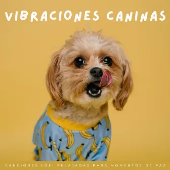 Vibraciones Caninas: Canciones Lofi Relajadas Para Momentos De Paz by Música para calmar perros