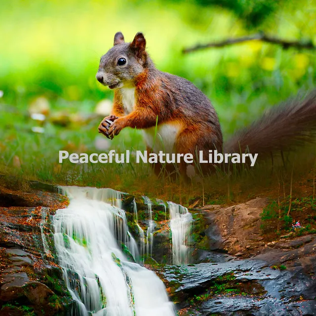 Peaceful Nature Library