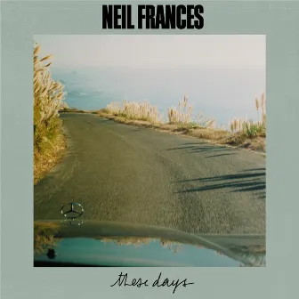 These Days by NEIL FRANCES