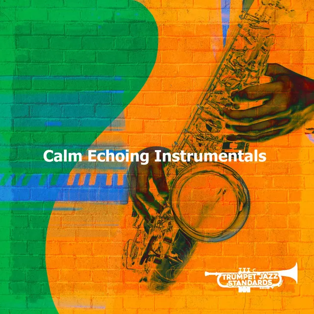 Calm Echoing Instrumentals