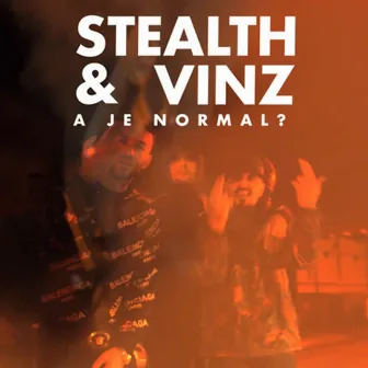 A je normal? by Vinz