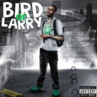 Bird Of Larry by Flight