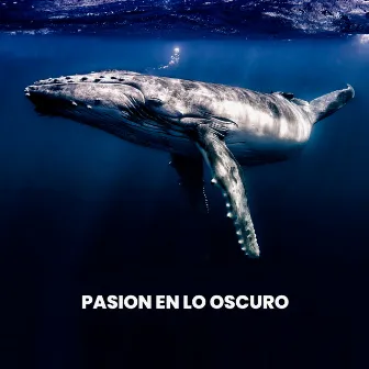 Pasion En Lo Oscuro by Sonidos De La Naturaleza