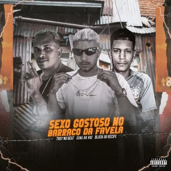 Sexo Gostoso no Barraco da Favela by Sena na Voz