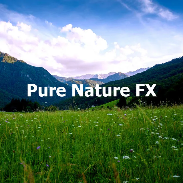 Pure Nature FX