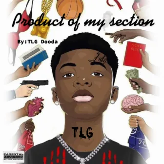 Product Of The Section by TLG Dooda