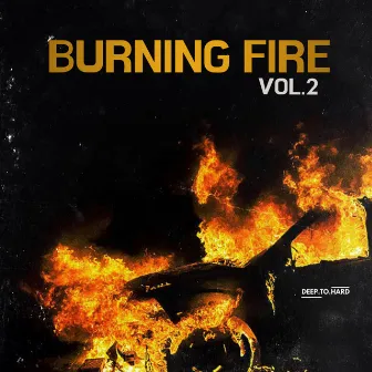 Burning Fire Vol.2 by The Fucking Revengers