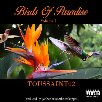 Birds of Paradise Volume 1 by Toussaint02