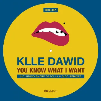 You Know What I Want by Klle Dawid