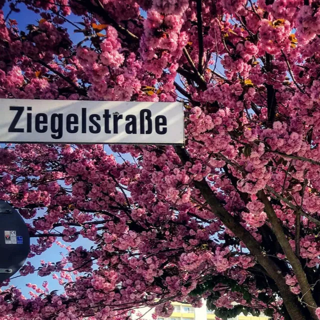 Frühling