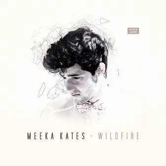 Wildfire by Meeka Kates