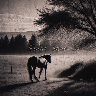 Final race (2024 Remaster) by 大我