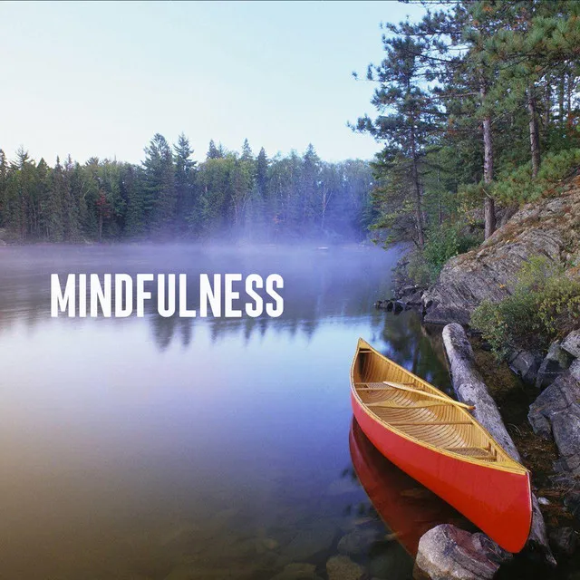 Sleep to Mindfulness