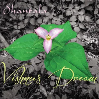 Vishnu's Dream by Shantala