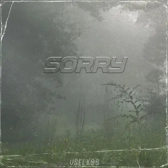 Sorry by USELXSS