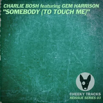 Somebody (To Touch Me) by Charlie Bosh