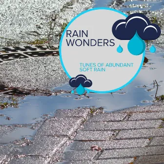 Rain Wonders - Tunes of Abundant Soft Rain by Everyday Rain Stories