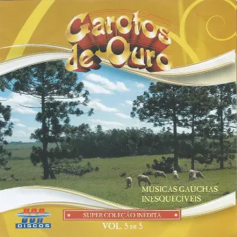 Músicas Gaúchas Inesquecíveis, Vol. 5 by Garotos de Ouro