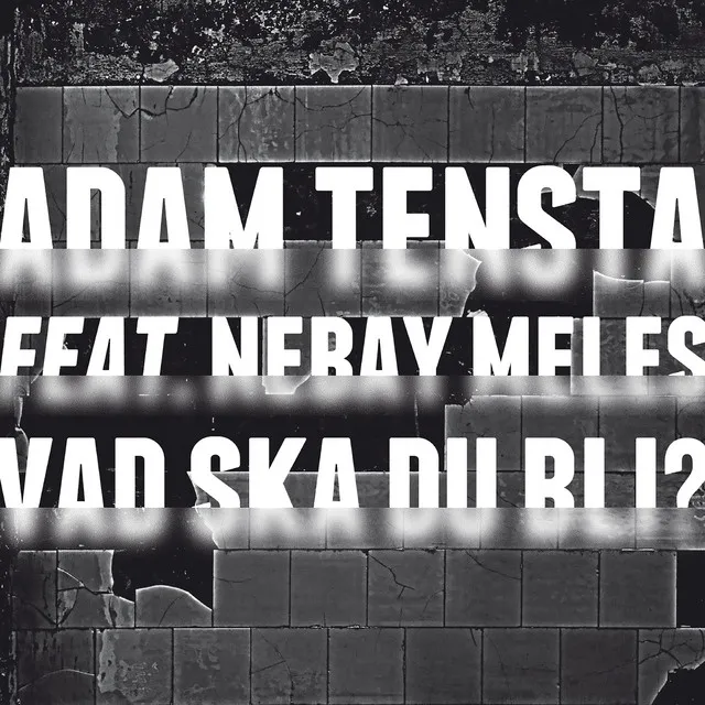 Vad ska du bli? (feat. Nebay Meles)