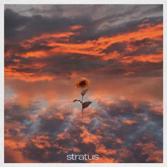 Stratus by supa.haze