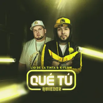 Que Tu Quieres by K-Flow