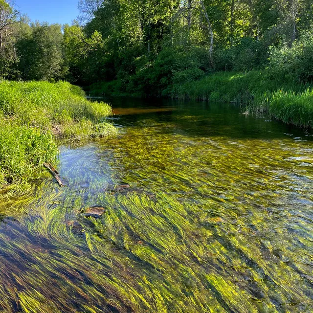 This River