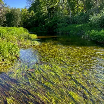 This River by Ivars Stubis