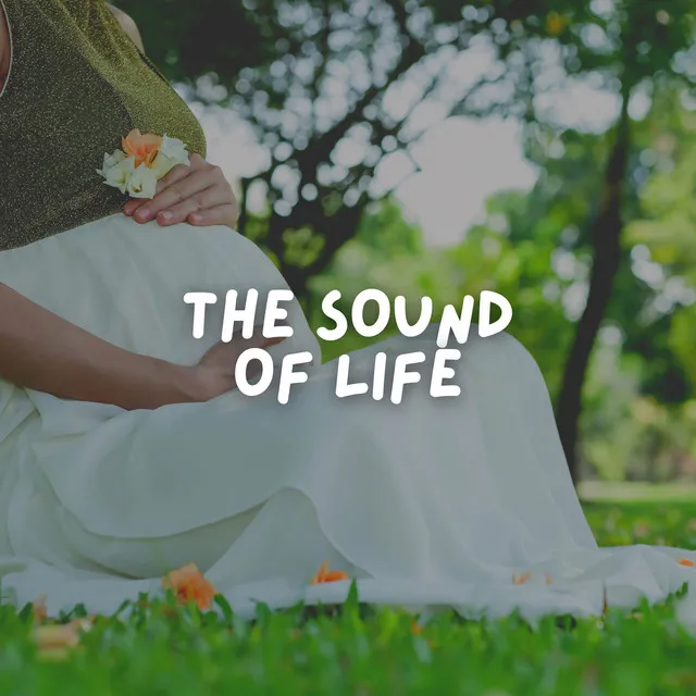 The Sound of Life