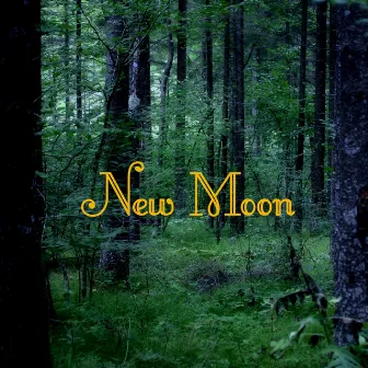 New Moon Piano Music and Vampire Instrumental Songs by Unknown Artist