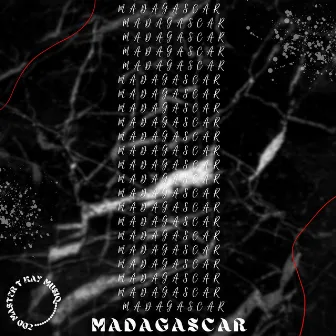 MADAGASCAR by T Kay MusiQ