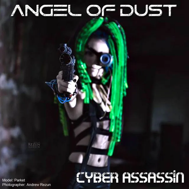 Cyber Assassin