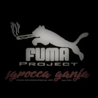 Sgrocca ganja by Cayam