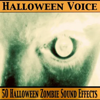 50 Halloween Zombie Sound Effects by Halloween Voice