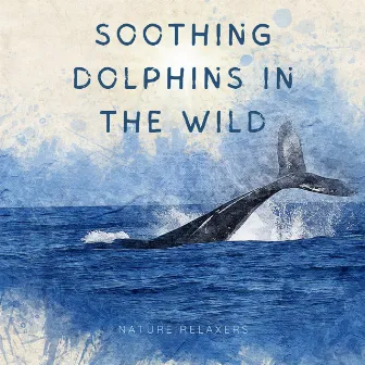 Soothing Dolphins In The Wild by Whales Sample