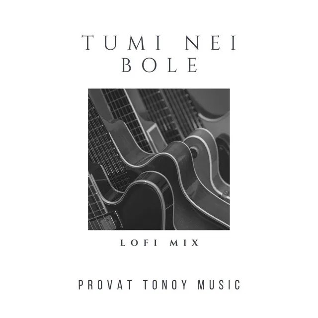 Tumi Nei Bole - Lofi Mix